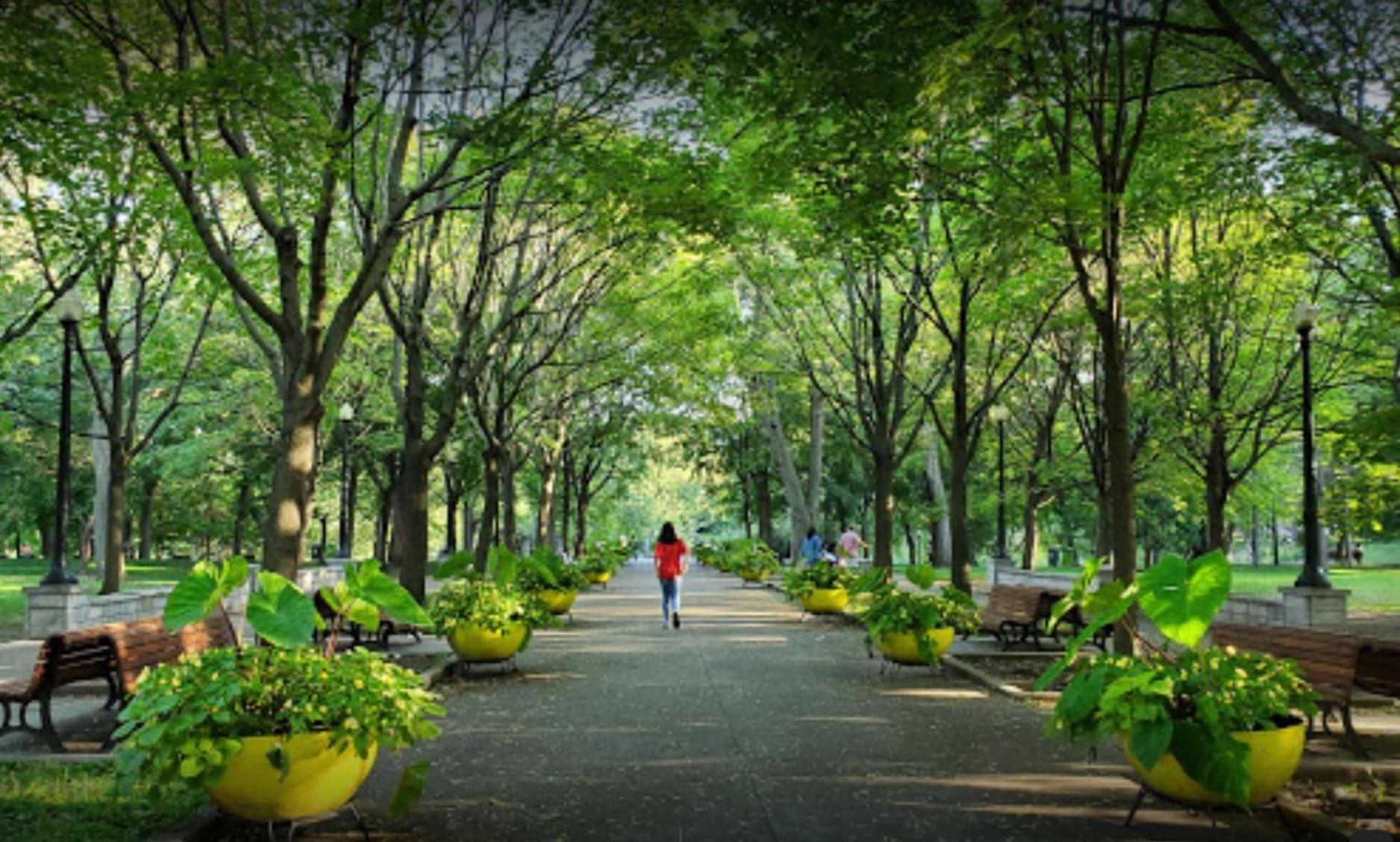 Chez Mont Royal Apartments Montréal Dış mekan fotoğraf